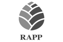 RAPP